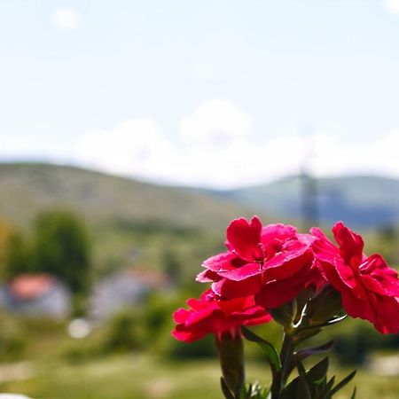 Apartmani S.Kilaci Blagaj Εξωτερικό φωτογραφία