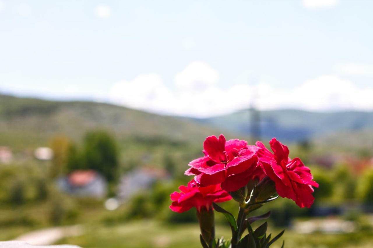 Apartmani S.Kilaci Blagaj Εξωτερικό φωτογραφία